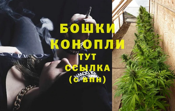 бутират Магас