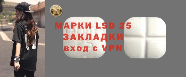 PSILOCYBIN Майский