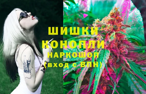 PSILOCYBIN Майский