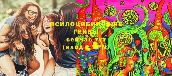 PSILOCYBIN Майский