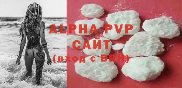 PSILOCYBIN Майский