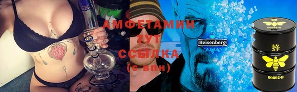 PSILOCYBIN Майский