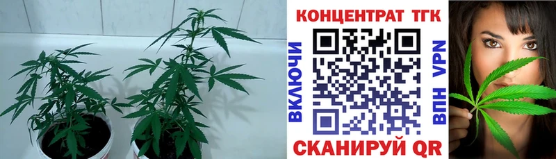 ТГК жижа  кракен ССЫЛКА  Старая Купавна 