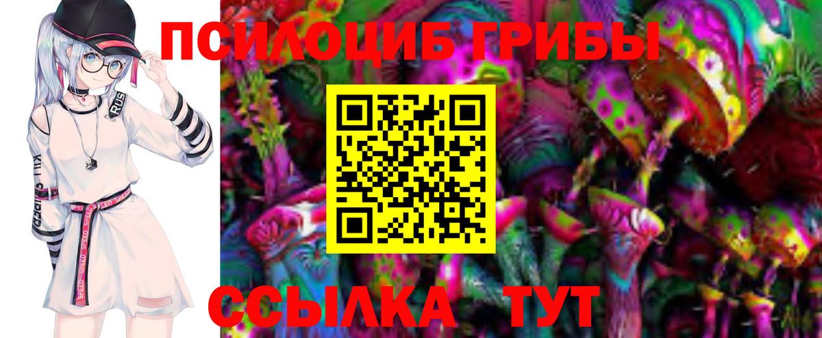 Галлюциногенные грибы прущие грибы  Вход с VPN  наркошоп  Галлюциногенные грибы Psilocybine cubensis  Старая Купавна 